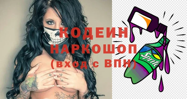 индика Алзамай