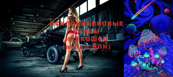 тгк Абдулино
