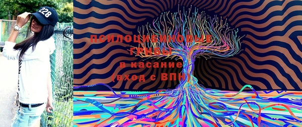 тгк Абдулино