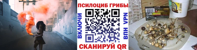 даркнет сайт  Адыгейск  Псилоцибиновые грибы Psilocybe 