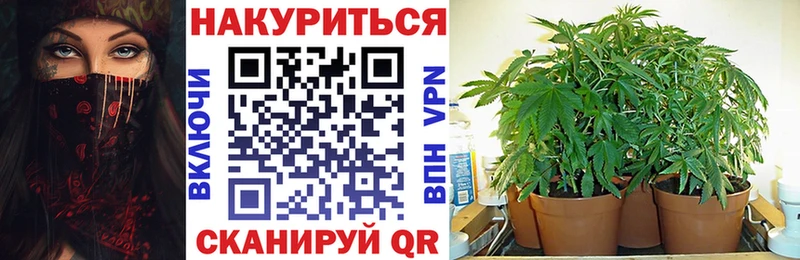 Шишки марихуана Amnesia Адыгейск